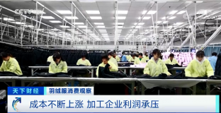 羽絨服輪番漲價(jià) 中高端產(chǎn)品還賣(mài)得更火了？